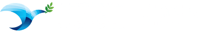 London School of Excellence Logo